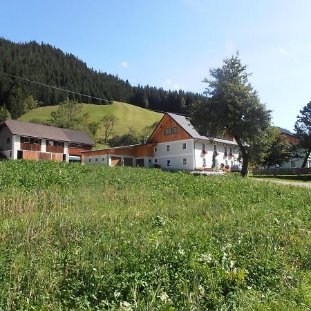 Huberbauer Villa Johnsbach Buitenkant foto