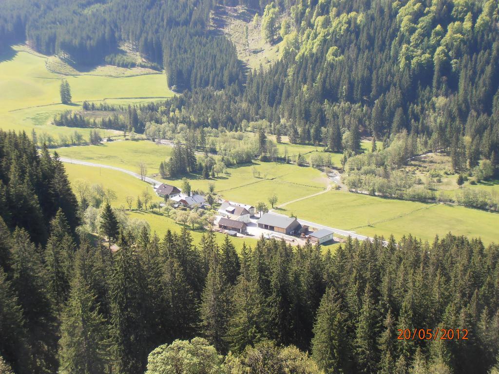 Huberbauer Villa Johnsbach Kamer foto