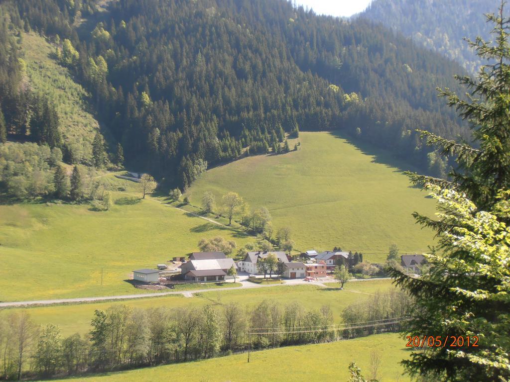 Huberbauer Villa Johnsbach Kamer foto