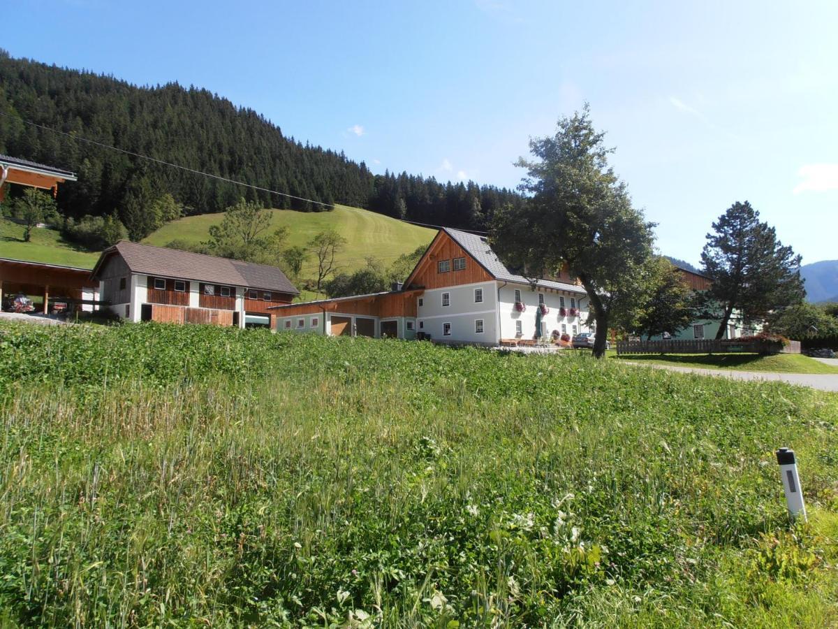 Huberbauer Villa Johnsbach Buitenkant foto