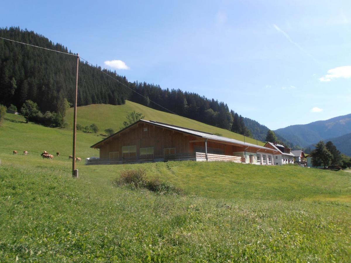 Huberbauer Villa Johnsbach Buitenkant foto