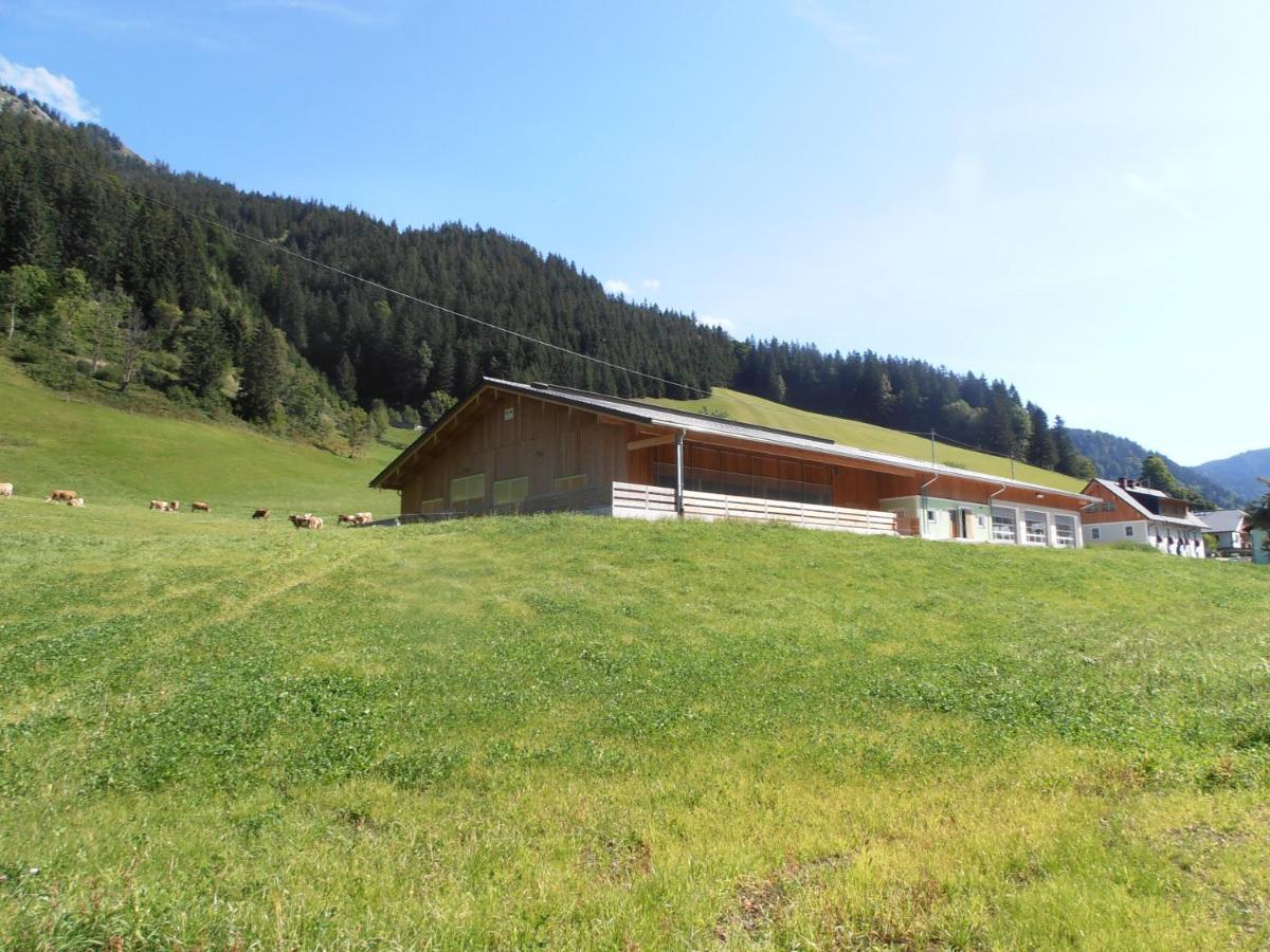 Huberbauer Villa Johnsbach Buitenkant foto